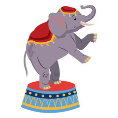 elephant circus entertainment balance icon vector illustration © Jemastock
