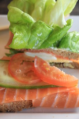 Fresh salmon sandwich