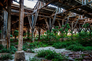 La charpente en bois dans l'usine abandonnée de Toscane