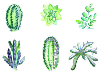 Set of watercolor green cactus