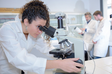 observation under the microscope