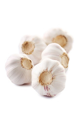 Garlic isolated on a white background