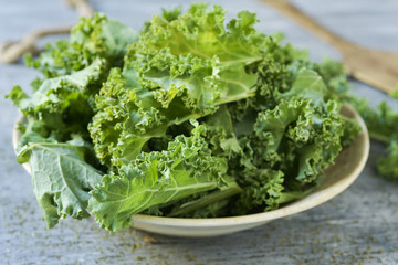 raw leaves of kale