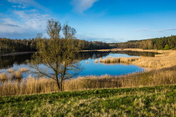 Patelnia lake near Kruklanki in Masuria, Poland
