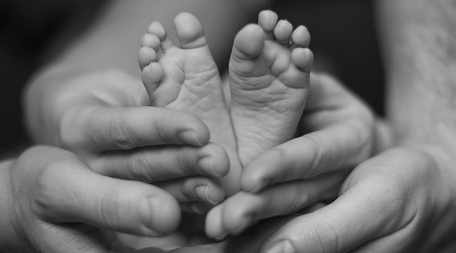 Cute baby legs in the parents hands black and white