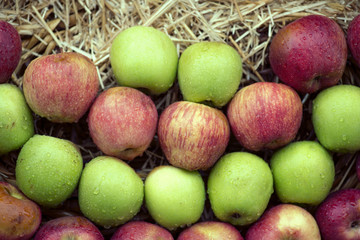 Stacked red and green apples.
