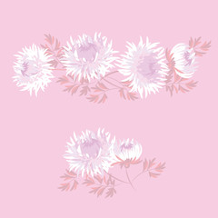 chrysanthemum fall flower design element for card, invitation, header. white autumn floral vector illustration on pale background