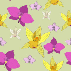 Tropical hand drawn exotic collection seamless pattern with orchids flowers.