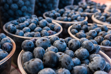 Blueberries for Sale