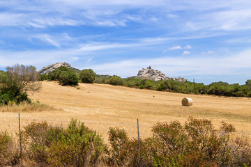 Obraz premium The island of Sardinia, Italy. Rural landscape in Arzachena