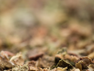 Oregano Macro Background