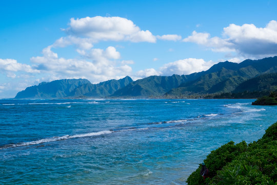 Tropical Paradise Beach Oahu Hawaii