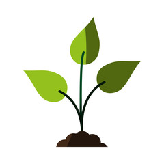 green plant sprout  icon image vector illustration design 