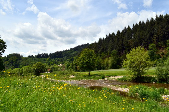 Dreisam im Fr&uuml;hling