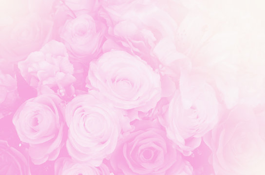 Fototapeta Blurred of sweet roses in pastel color style on soft blur bokeh texture for background