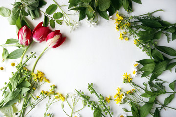 Top view of tulips, daisy and green leaves
