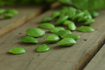 Petai is a plant of the genus Parkia in the family Fabaceae. It is also know as bitter bean, twisted cluster bean and stink bean.