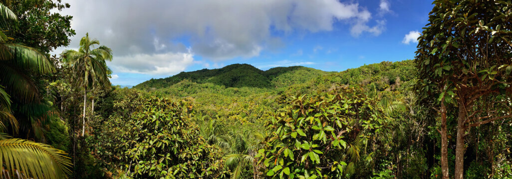 Seychelles 014