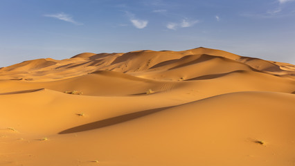 Fototapeta na wymiar Panoramic view of sand dunes of Erg Chebby, Merzouga, Morocco