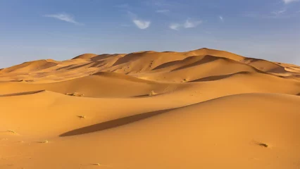  Panoramic view of sand dunes of Erg Chebby, Merzouga, Morocco © tynrud