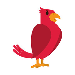 tropical bird icon image vector illustration design 