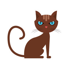 cat house pet icon image vector illustration design 
