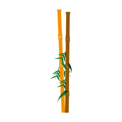 Fototapeta na wymiar bamboo plant icon image vector illustration design 