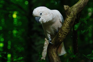 Beauté de la Nature