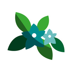 cute simple flower icon image vector illustration design 