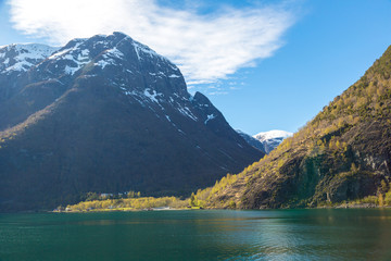 Obraz premium Sognefjord in Norway