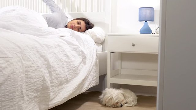 Woman waking up in the morning caressing puppy maltese dog