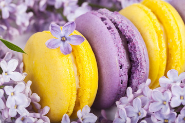 Traditional french macaroons