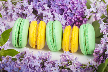 Traditional french macaroons