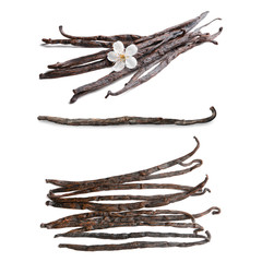 Vanilla pods with flower on white background