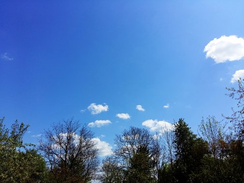 amazing blue sky
