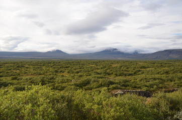 Fototapeta premium Thingvellir National Park in Iceland