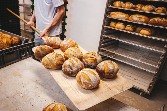 Bread Bakery Oven