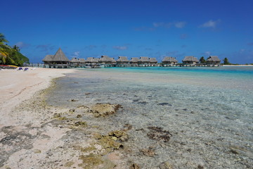 Tropical resort with thatched bungalows over water in the lagoon, atoll of Tikehau, Tuamotu archipelago, French Polynesia, south Pacific ocean