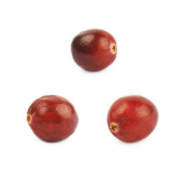 Single ripe cranberry isolated