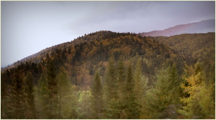 Bieszczadzki pejzaż © rak7