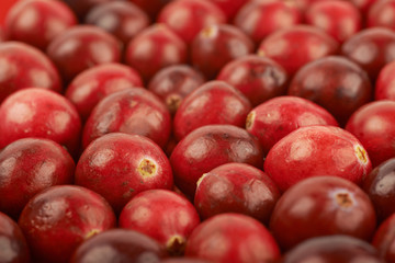 Surface coated with the cranberries