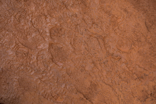 Hiker Footprints In The Red Mud