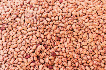 pink bean background