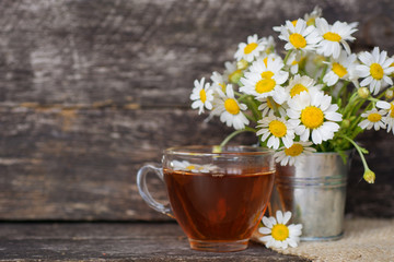 cup of herbal chamomile tea and daisy flowers. doctor treatment and prevention of immune concept, medicine - folk, alternative, complementary, traditional medicine 