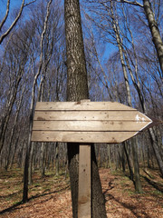 Wooden information board, arrow