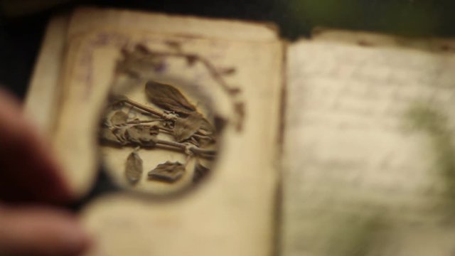 Magnifying glass and vintage book.