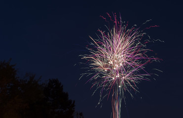 Colorful fireworks twirling and shining in the night sky, set against dark trees