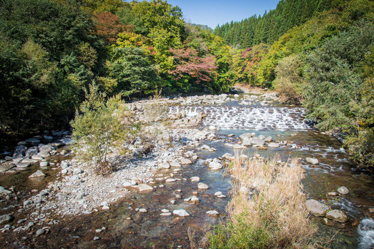Idyllic nature of Oirase Gorge, Aomori, Japan