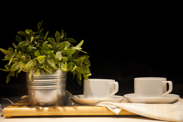 White coffee mug and tree pot on the table With a dark background