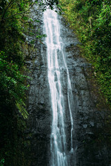 Manoa Falls, Hawaii